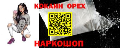 крисы Будённовск
