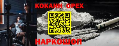 крисы Будённовск