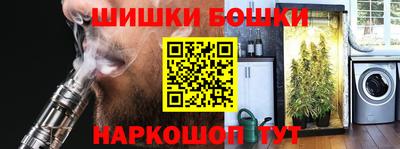крисы Будённовск
