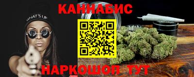 крисы Будённовск