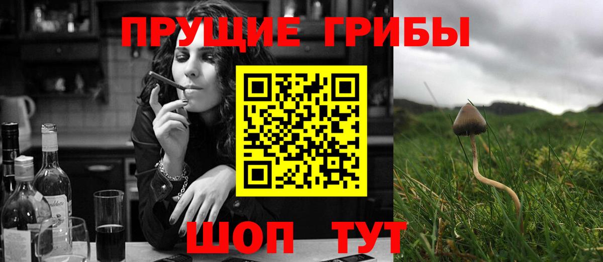 Старая Русса  где можно купить наркотик  Вход с VPN  Псилоцибиновые грибы MAGIC MUSHROOMS  Галлюциногенные грибы Magic Shrooms 